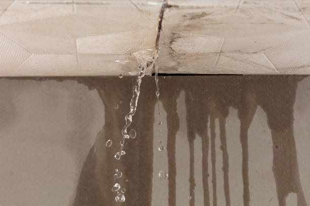 Professional Burst Pipe Cleanup technician working in Malmo, NE